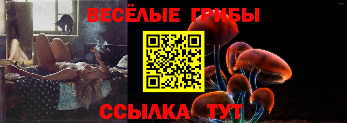 Галлюциногенные грибы ЛСД  наркота  Нижний Тагил  Вход с VPN  Галлюциногенные грибы прущие грибы 
